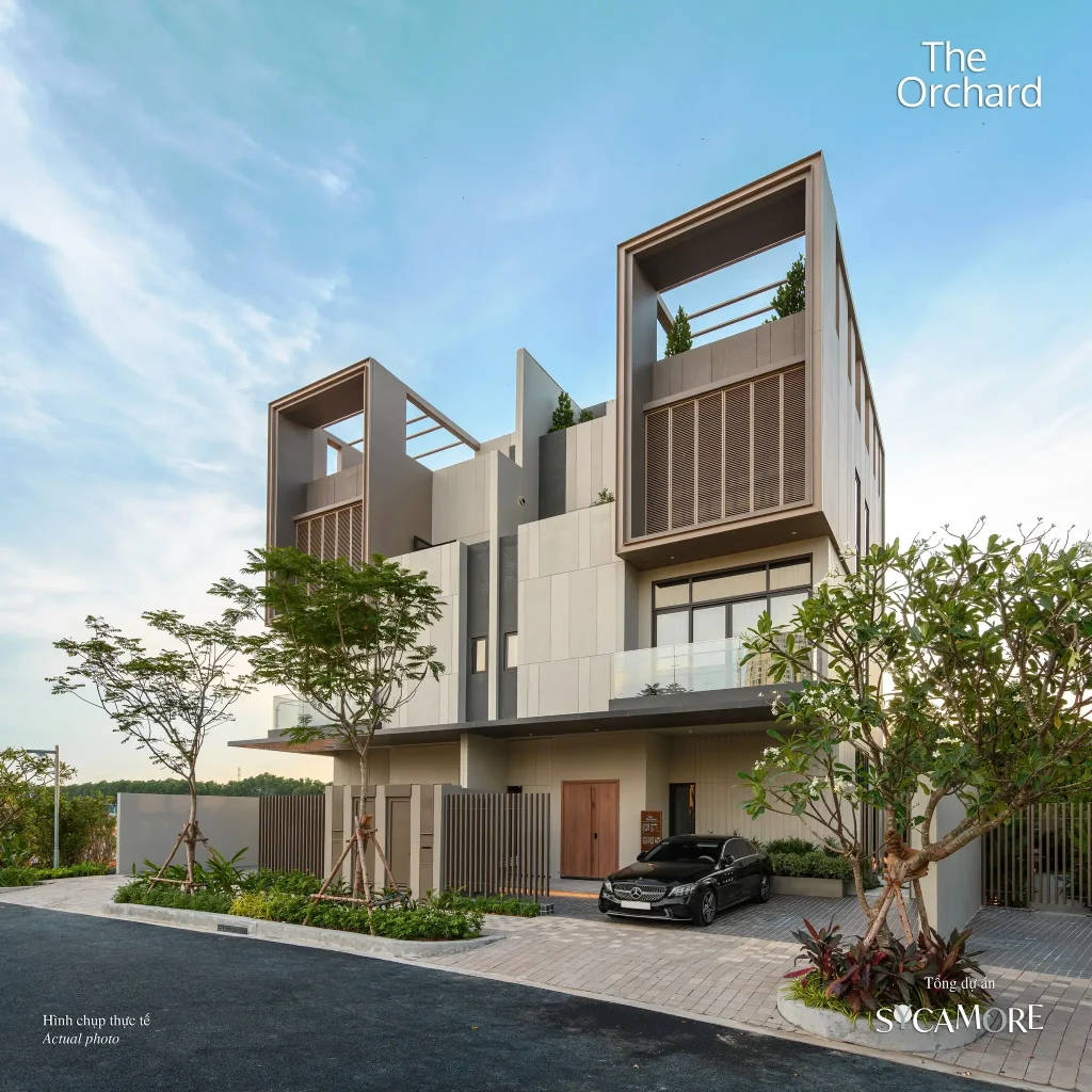 biệt thự song lập Sycamore