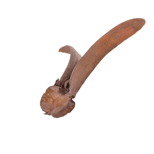 bieu tuong binh duong 5